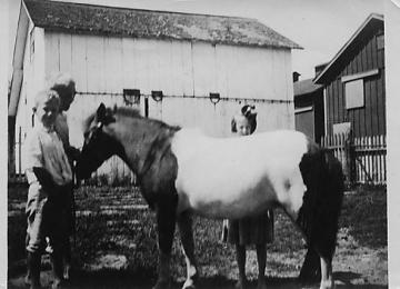 Gilfillan Farm